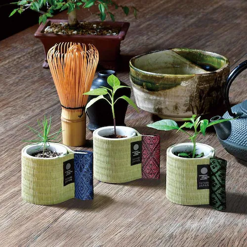 ����ł������傱�� GD-105101 ����_2