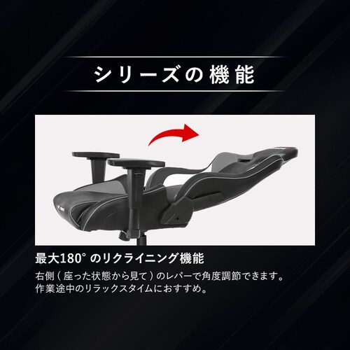 AKRacing �G�[�P�[���[�V���O �Q�[�~���O�`�F�A AKR-Pro-XV2 �O���[_4