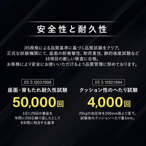 AKRacing �G�[�P�[���[�V���O �Q�[�~���O�`�F�A AKR-Pro-XV2 �O���[_10