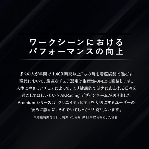 AKRacing �G�[�P�[���[�V���O �Q�[�~���O�`�F�A AKR-PREMIUM �V���o�[_2