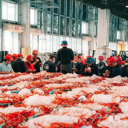 ���ɂ݂��b������12�� _4