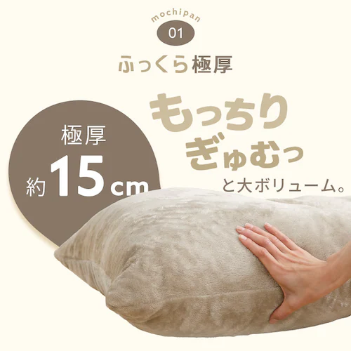 �{�����[�������z�c �l�C�r�[�y���Ԏw��s�z�y������s�z_15