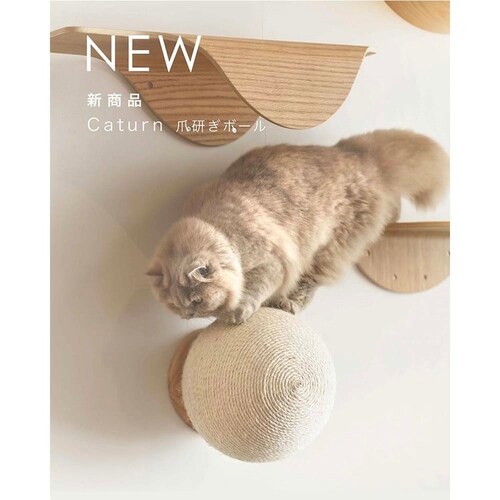 CATURN N18 �L���^�[���܌����{�[�� MZ0001 �y�v���U�Z���N�g�z_2