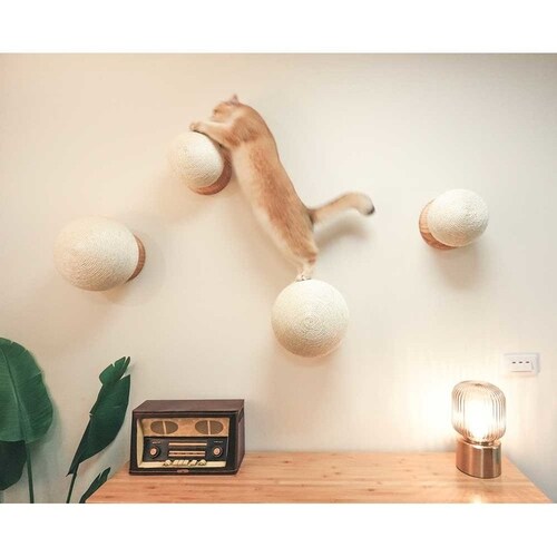 CATURN N18 �L���^�[���܌����{�[�� MZ0001 �y�v���U�Z���N�g�z_4