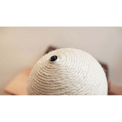 CATURN N18 �L���^�[���܌����{�[�� MZ0001 �y�v���U�Z���N�g�z_9