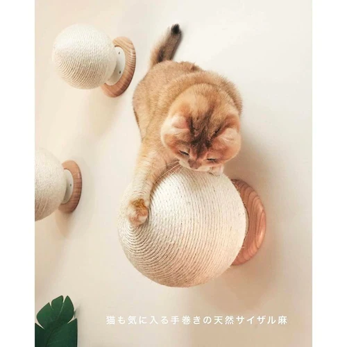 CATURN N18 �L���^�[���܌����{�[�� MZ0001 �y�v���U�Z���N�g�z_12