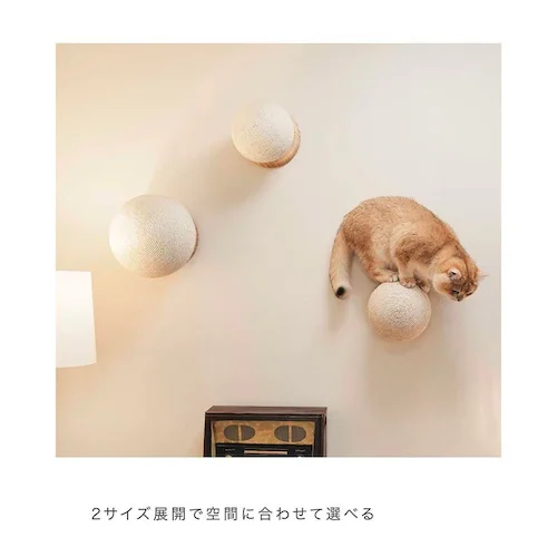 CATURN N18 �L���^�[���܌����{�[�� MZ0001 �y�v���U�Z���N�g�z_13