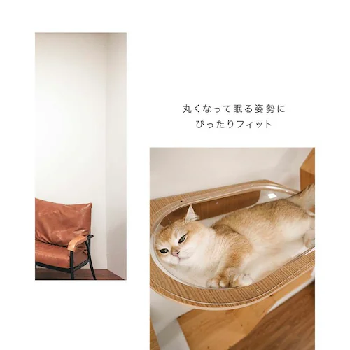 AURA星河キャットベッド MZ0004 _11