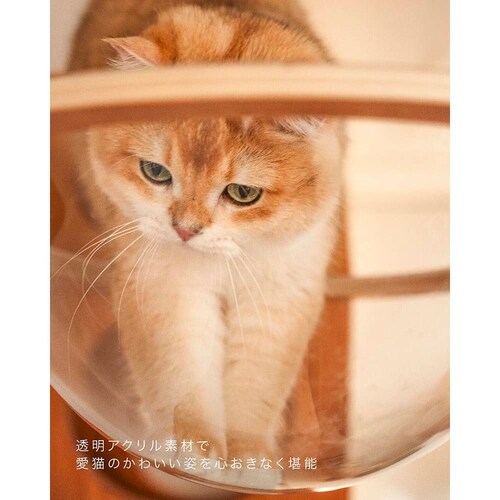 AURA���̓L���b�g�x�b�h MZ0004 �y�v���U�Z���N�g�z_10