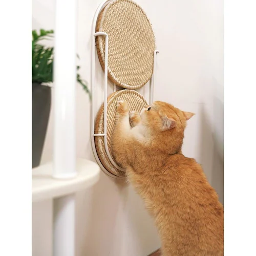 LOCUS 円形爪研ぎボード MZ0005 【プラザセレクト】_3