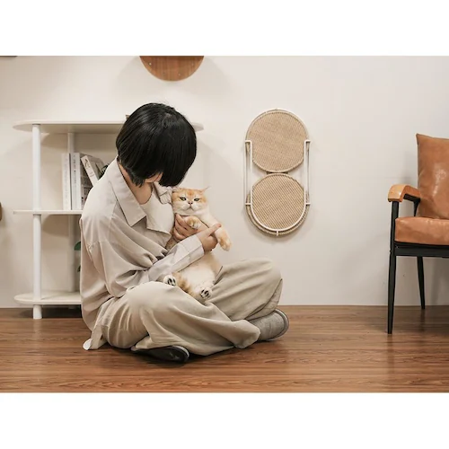 LOCUS 円形爪研ぎボード MZ0005 【プラザセレクト】_4