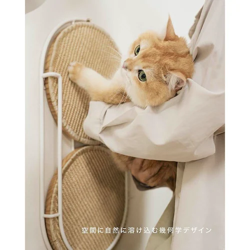 LOCUS 円形爪研ぎボード MZ0005 【プラザセレクト】_9