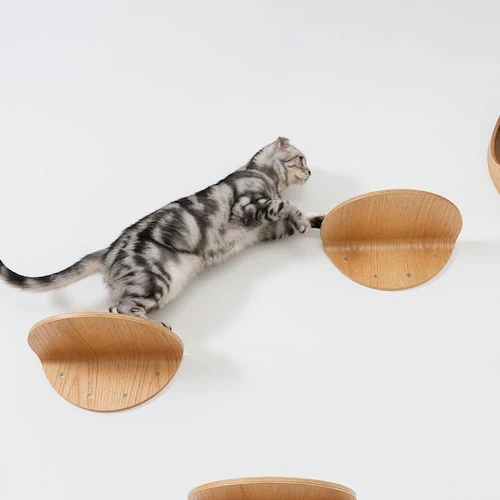 ROUNDLACK MZ0019 【プラザセレクト】_7