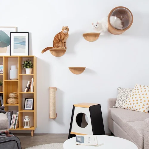 ROUNDLACK MZ0019 【プラザセレクト】_8