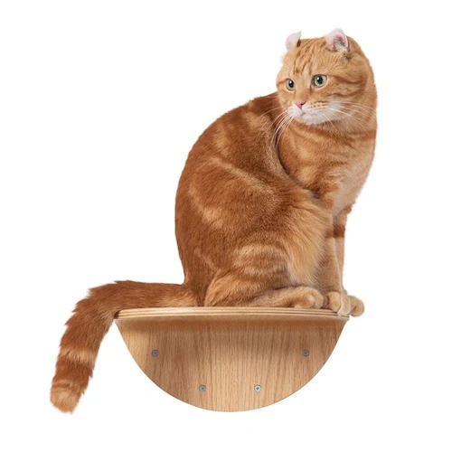 ROUNDLACK MZ0019 【プラザセレクト】_10