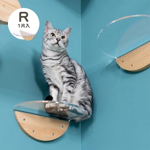 ROUNDLACK MZ0019 【プラザセレクト】_11