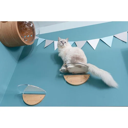 ROUNDLACK MZ0019 【プラザセレクト】_13