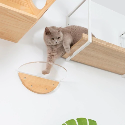 ROUNDLACK MZ0019 【プラザセレクト】_15