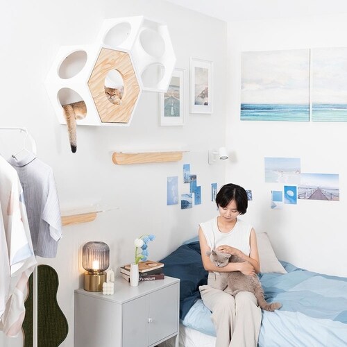 �Z�p�n�E�X�J�o�[(RATTAN) MZ0022 �y�v���U�Z���N�g�z_8