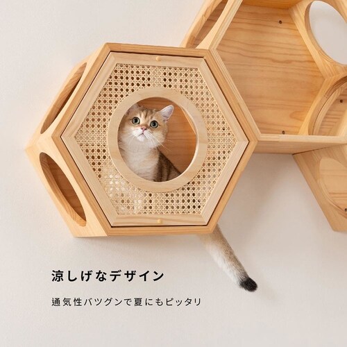 �Z�p�n�E�X�J�o�[(RATTAN) MZ0022 �y�v���U�Z���N�g�z_11