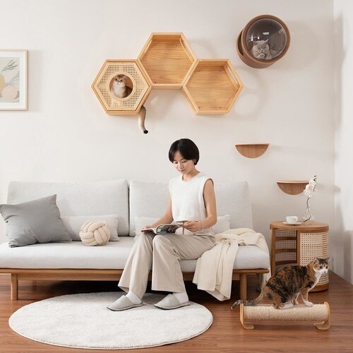 �Z�p�n�E�X�J�o�[(RATTAN) MZ0022 �y�v���U�Z���N�g�z_15