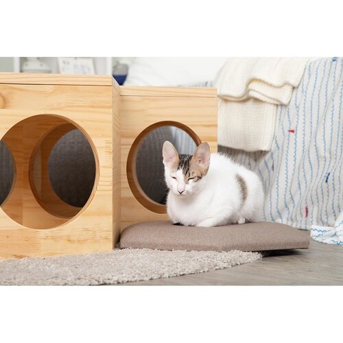 �Z�p�n�E�X�`�F�A�v���[�g MZ0023 �y�v���U�Z���N�g�z_3