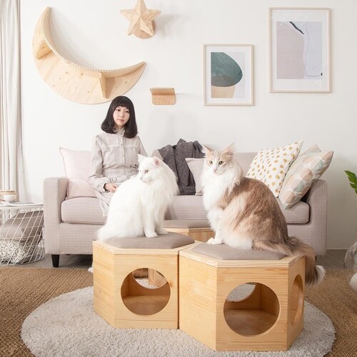 �Z�p�n�E�X�`�F�A�v���[�g MZ0023 �y�v���U�Z���N�g�z_9