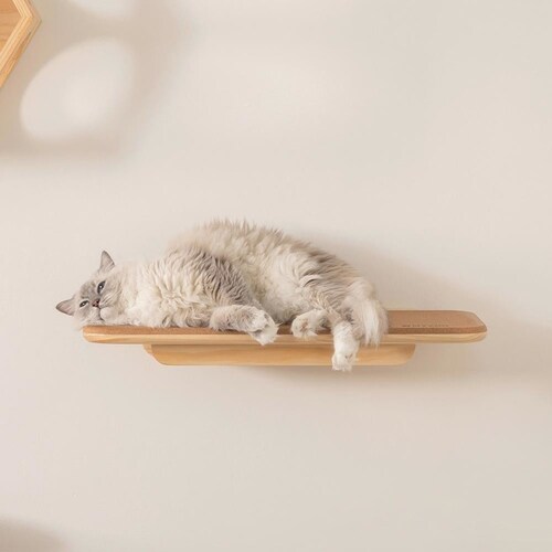 MZ0026 MZ0026 【プラザセレクト】_11