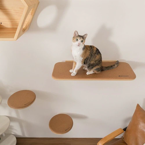 MZ0026 MZ0026 【プラザセレクト】_12