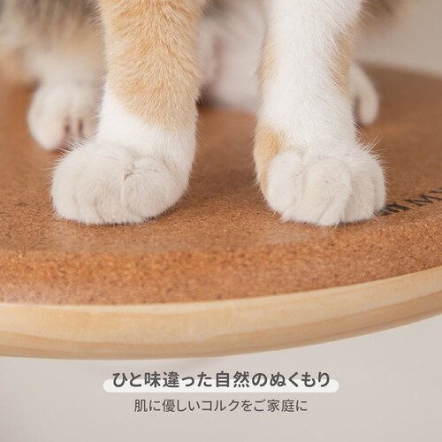 CORK�]R MZ0027 �y�v���U�Z���N�g�z_7