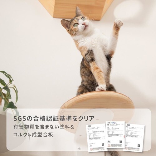 CORK�]R MZ0027 �y�v���U�Z���N�g�z_10