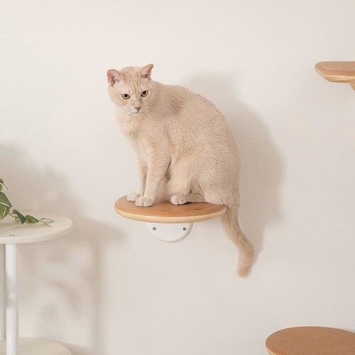 CORK�]R MZ0027 �y�v���U�Z���N�g�z_12