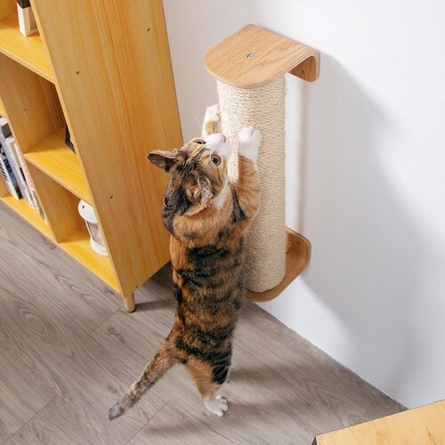 CYLINDER II MZ0028 �y�v���U�Z���N�g�z_7