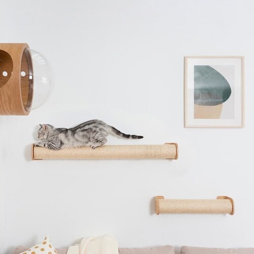 CYLINDER II MZ0028 �y�v���U�Z���N�g�z_8