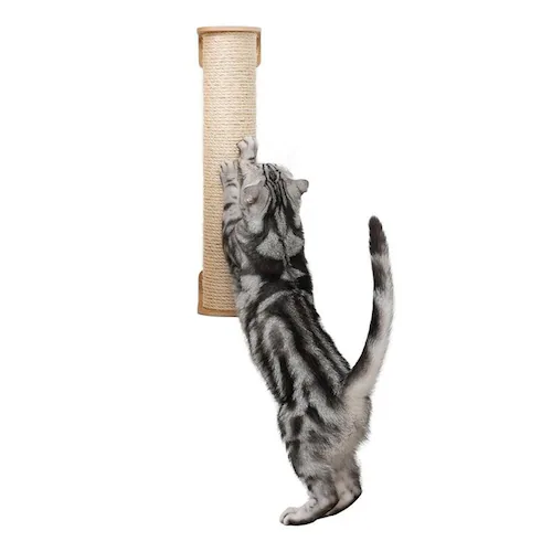 CYLINDER II MZ0028 �y�v���U�Z���N�g�z_11