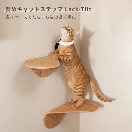 LACKTILT MZ0033 �E����_1