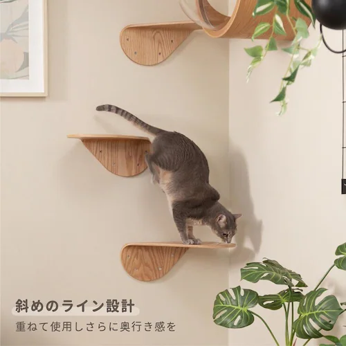 LACKTILT MZ0033 �E����_10