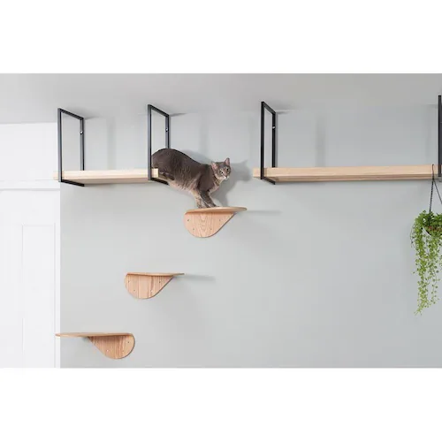 LACKTILT MZ0033 �E����_16