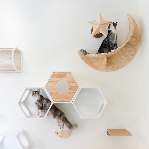 LUNA MZ0035 【プラザセレクト】_12