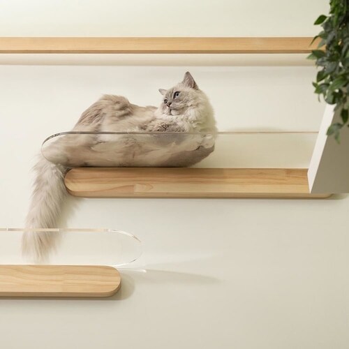 OBLONG/L90cm MZ0036 �y�v���U�Z���N�g�z_2