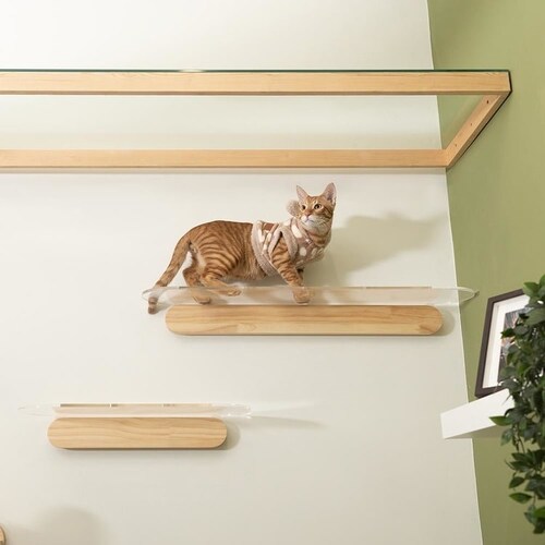 OBLONG/L90cm MZ0036 �y�v���U�Z���N�g�z_3