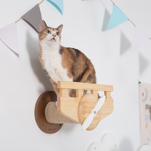 PLANE MZ0038 �y�v���U�Z���N�g�z_2