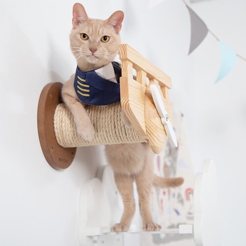 PLANE MZ0038 �y�v���U�Z���N�g�z_3