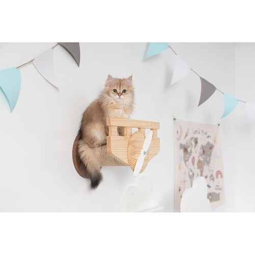 PLANE MZ0038 �y�v���U�Z���N�g�z_5