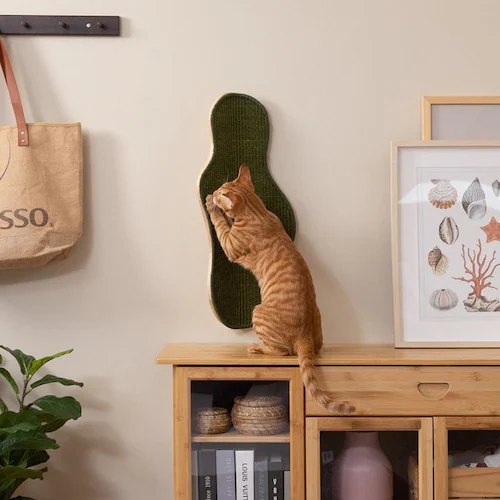 SEAWEED MZ0041 【プラザセレクト】_8