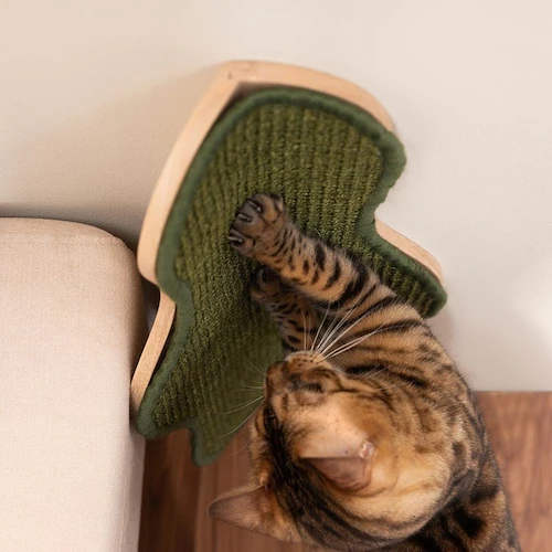 SEAWEED MZ0041 【プラザセレクト】_9