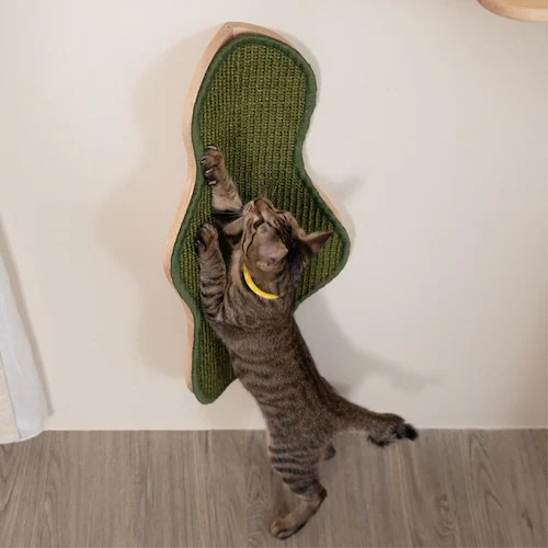 SEAWEED MZ0041 【プラザセレクト】_10