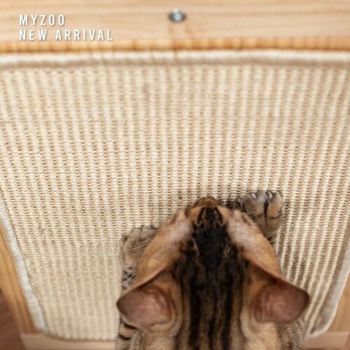 CHILLAX MZ0042 �y�v���U�Z���N�g�z_2