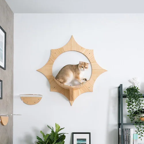 SOLAR MZ0043 【プラザセレクト】_2