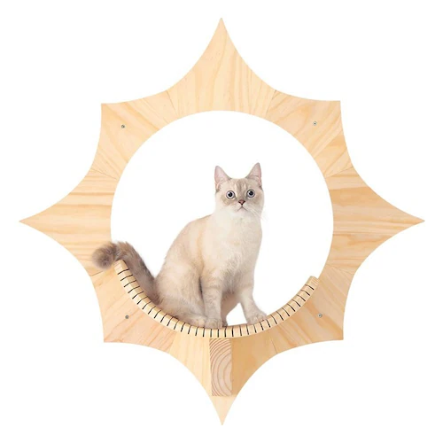 SOLAR MZ0043 【プラザセレクト】_3